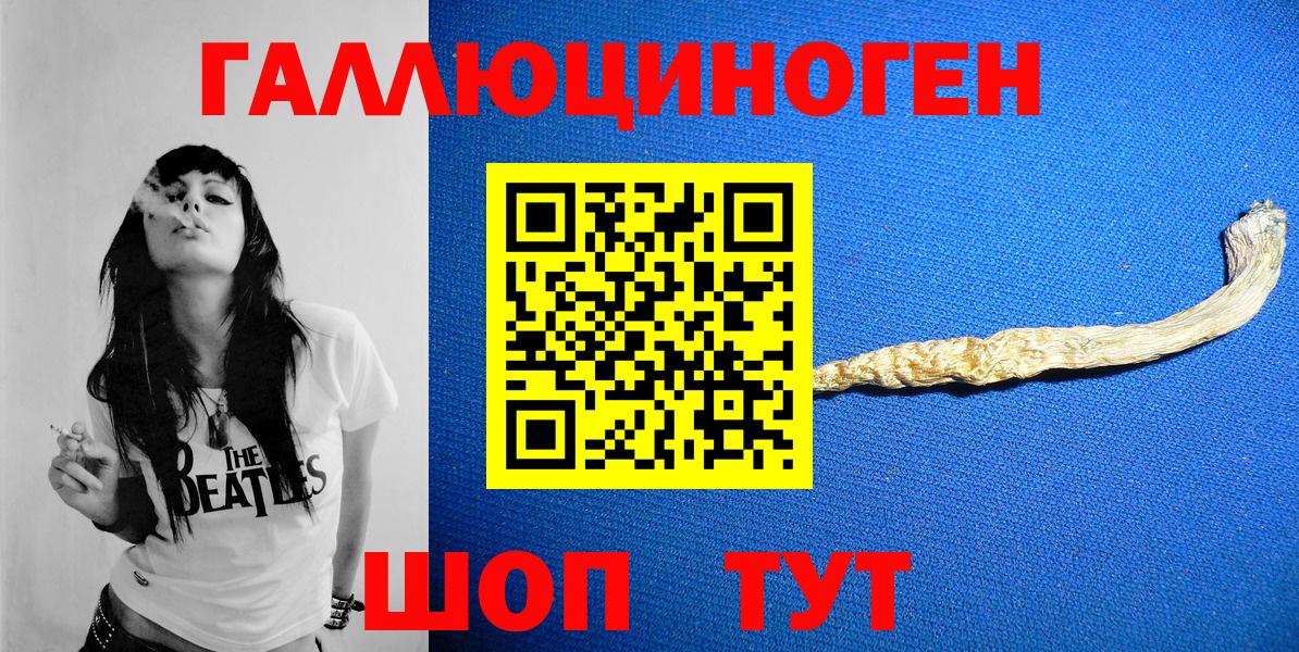 Владимир  Псилоцибиновые грибы Magic Shrooms  Вход с VPN 